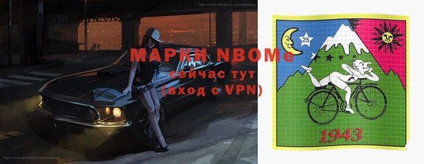 mix Богородицк