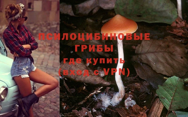 марки lsd Богородск