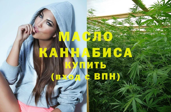 mix Богородицк