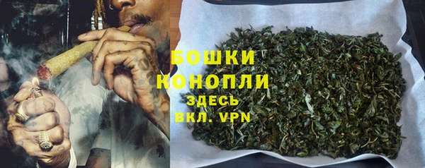 mix Богородицк